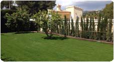 lawns-grass-garden-moraira