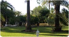 maintenance-garden-moraira